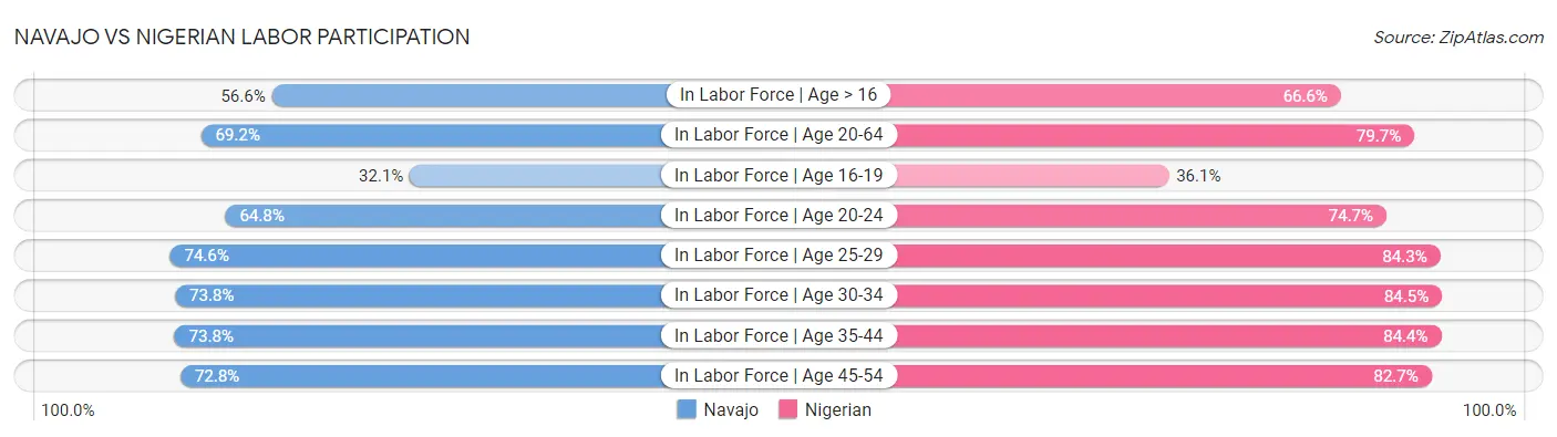 Navajo vs Nigerian Labor Participation