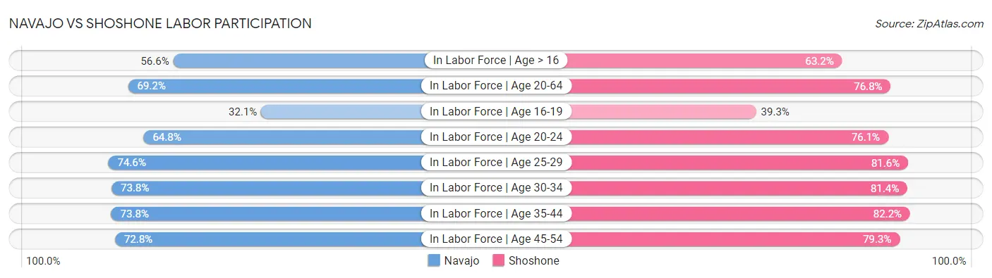 Navajo vs Shoshone Labor Participation