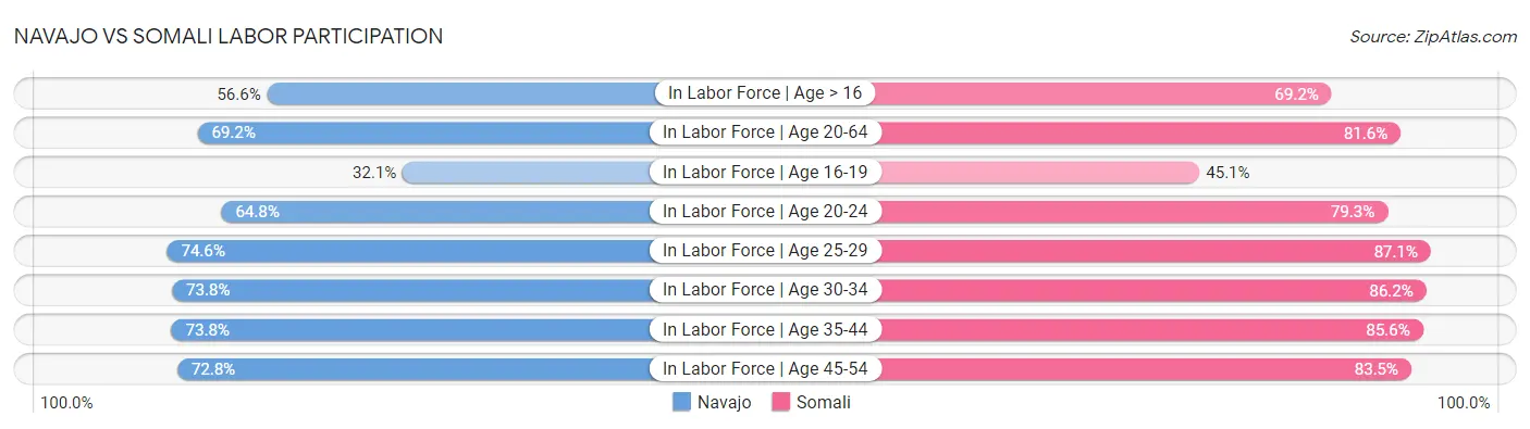 Navajo vs Somali Labor Participation
