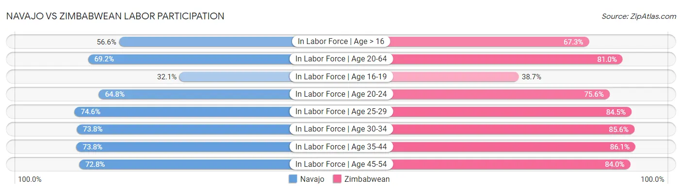 Navajo vs Zimbabwean Labor Participation