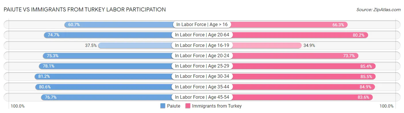 Paiute vs Immigrants from Turkey Labor Participation