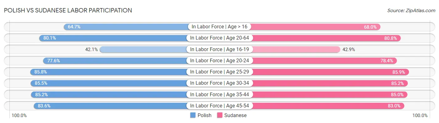 Polish vs Sudanese Labor Participation