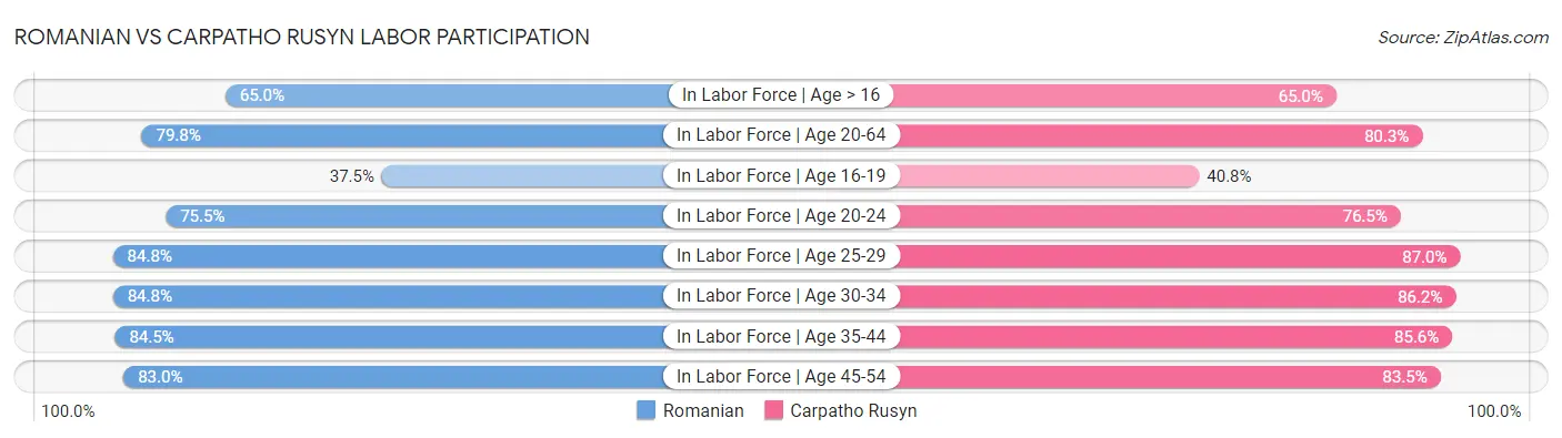 Romanian vs Carpatho Rusyn Labor Participation