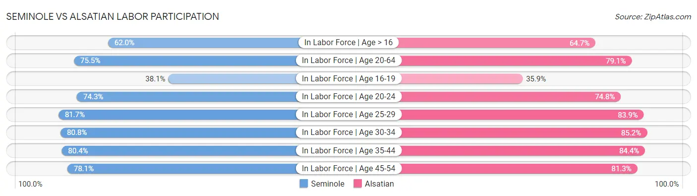Seminole vs Alsatian Labor Participation