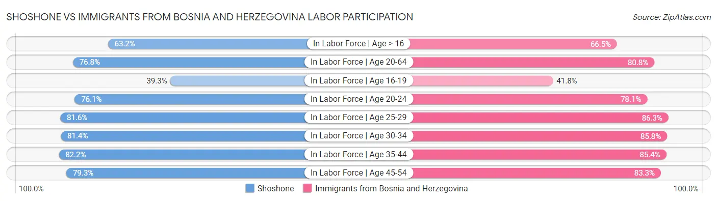 Shoshone vs Immigrants from Bosnia and Herzegovina Labor Participation