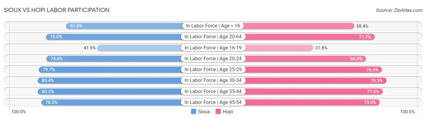 Sioux vs Hopi Labor Participation