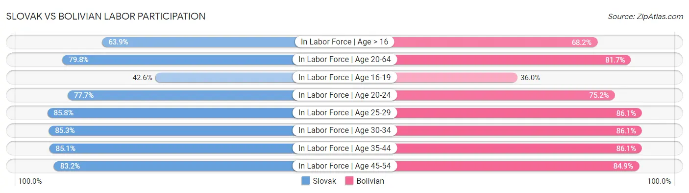 Slovak vs Bolivian Labor Participation