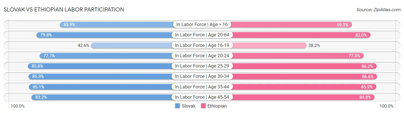 Slovak vs Ethiopian Labor Participation