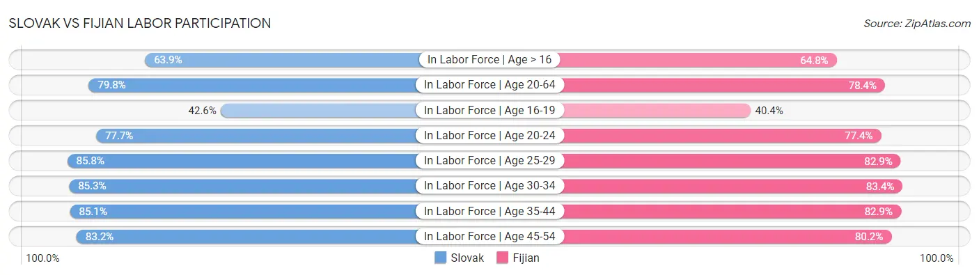 Slovak vs Fijian Labor Participation