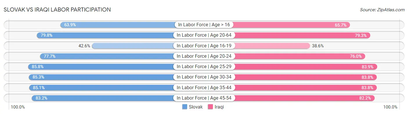 Slovak vs Iraqi Labor Participation