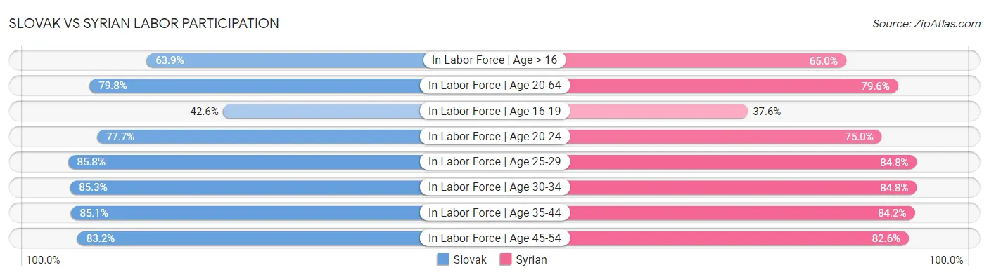 Slovak vs Syrian Labor Participation