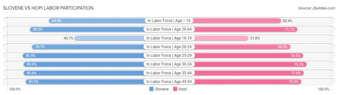 Slovene vs Hopi Labor Participation