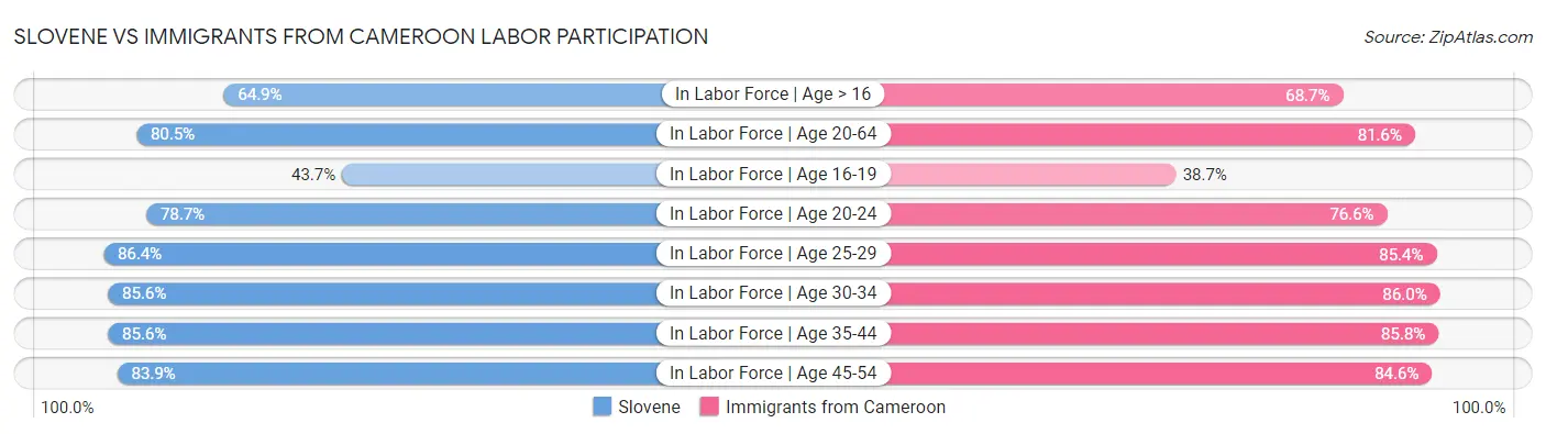 Slovene vs Immigrants from Cameroon Labor Participation