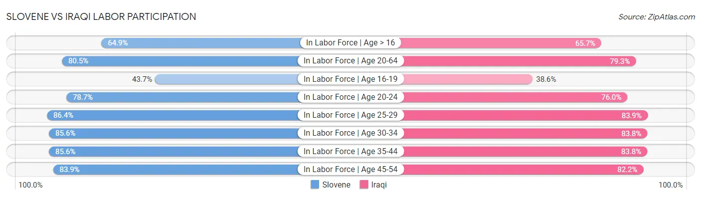 Slovene vs Iraqi Labor Participation