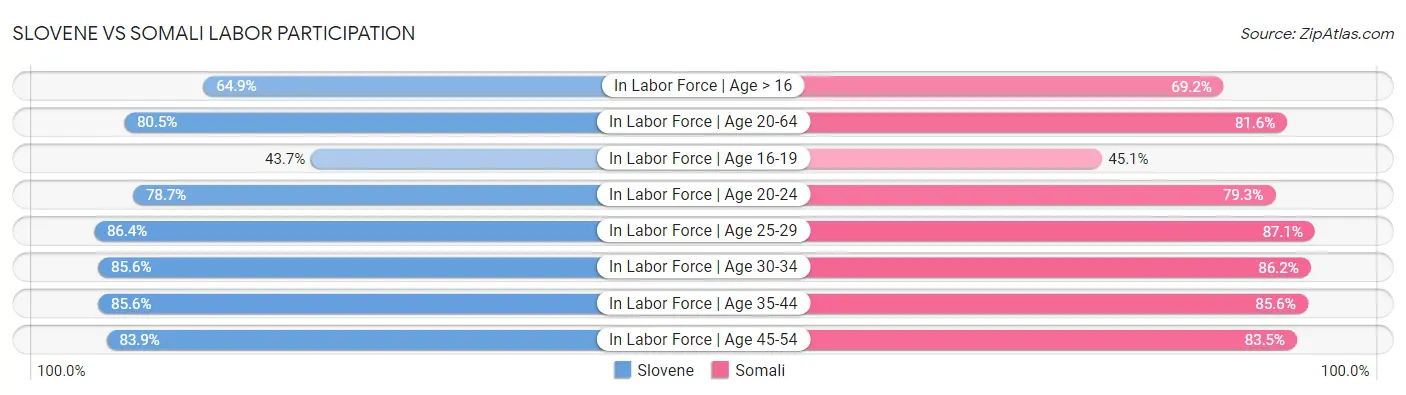 Slovene vs Somali Labor Participation