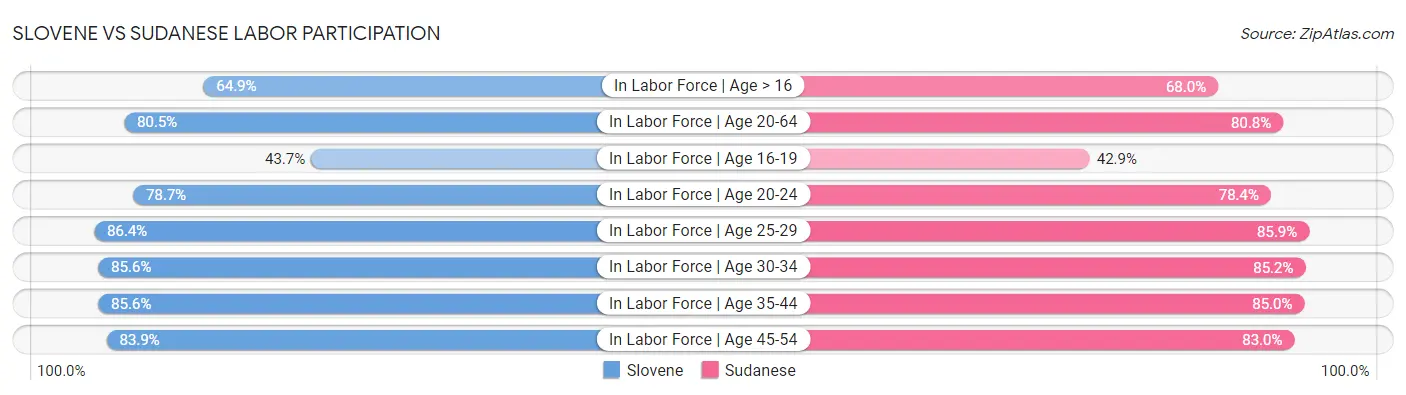 Slovene vs Sudanese Labor Participation