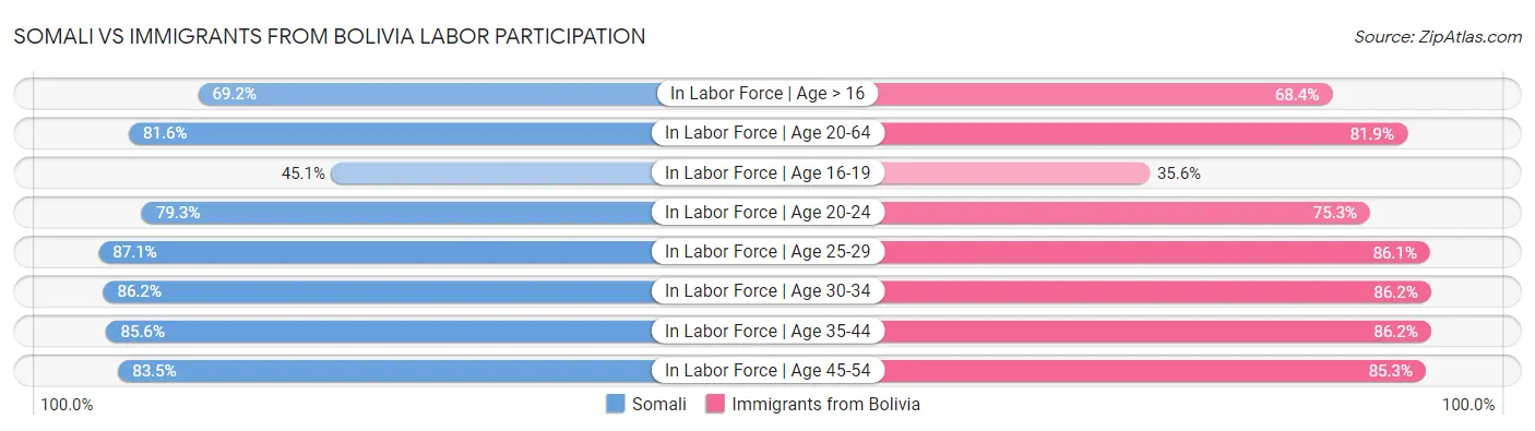 Somali vs Immigrants from Bolivia Labor Participation