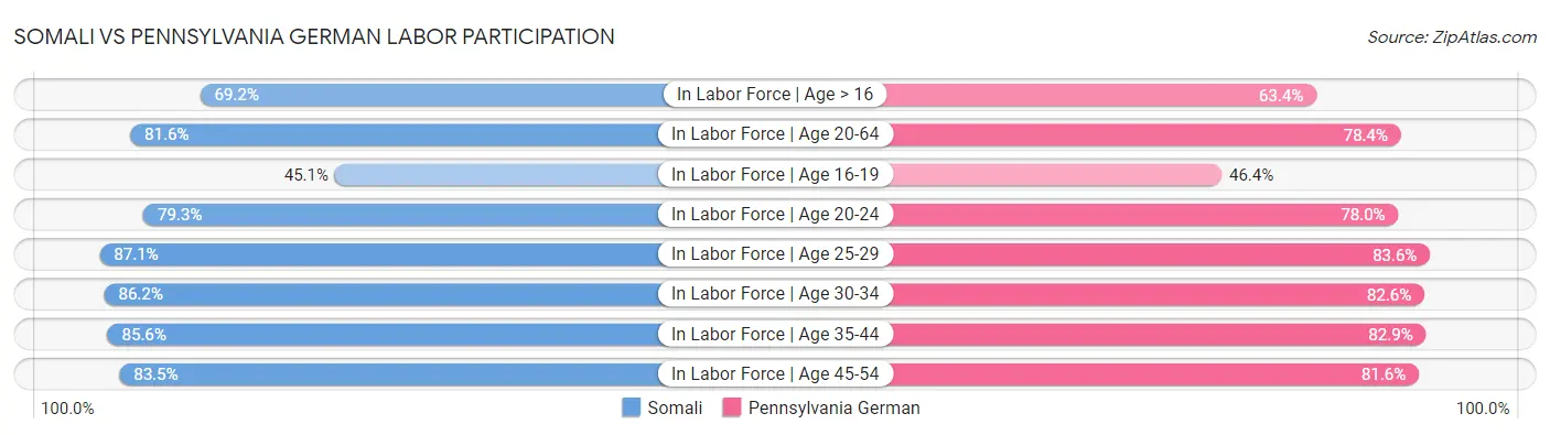 Somali vs Pennsylvania German Labor Participation