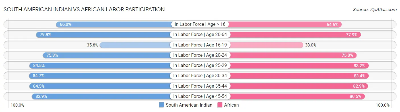 South American Indian vs African Labor Participation
