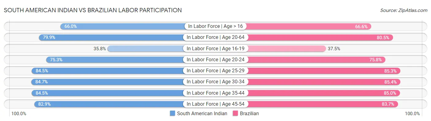South American Indian vs Brazilian Labor Participation