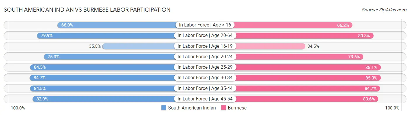 South American Indian vs Burmese Labor Participation