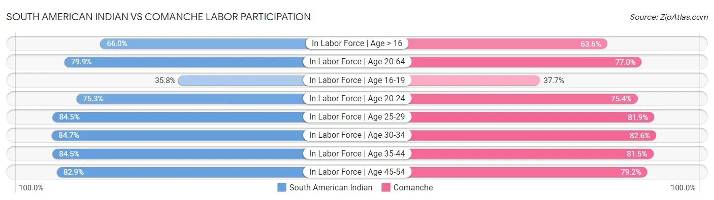South American Indian vs Comanche Labor Participation