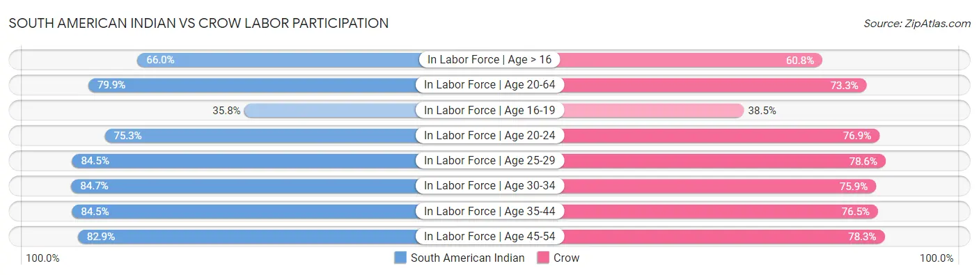 South American Indian vs Crow Labor Participation