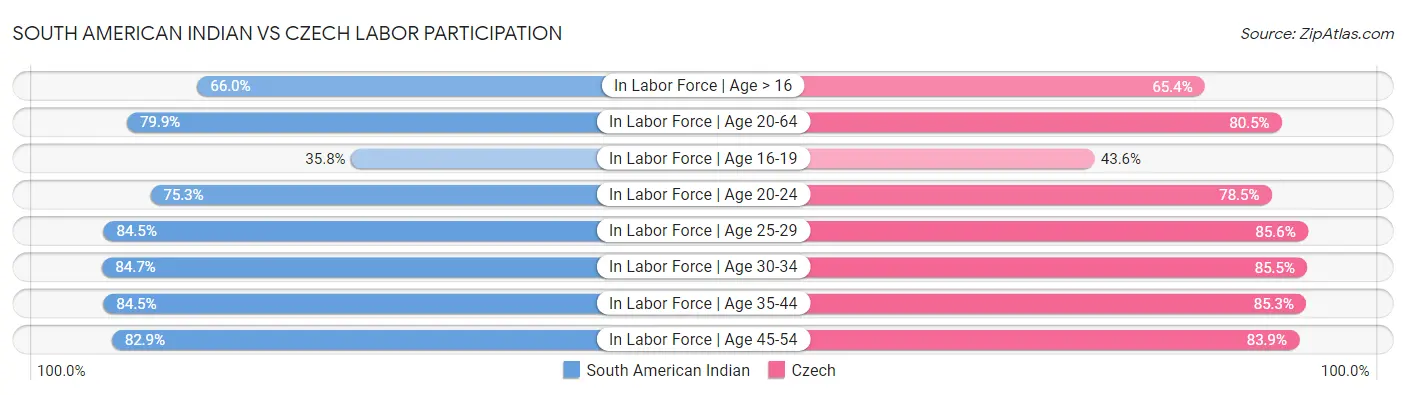 South American Indian vs Czech Labor Participation