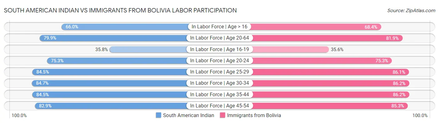 South American Indian vs Immigrants from Bolivia Labor Participation