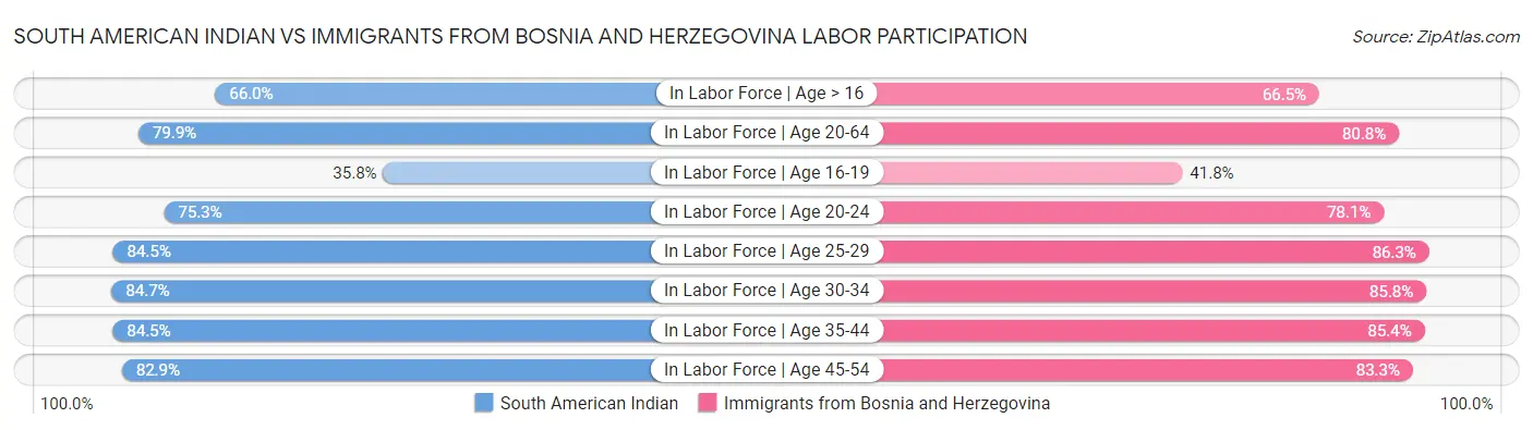 South American Indian vs Immigrants from Bosnia and Herzegovina Labor Participation