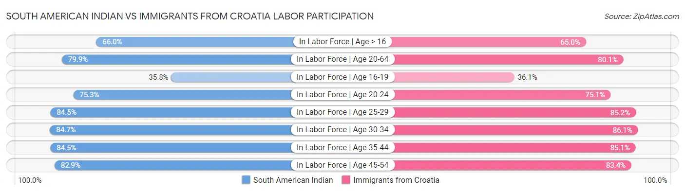 South American Indian vs Immigrants from Croatia Labor Participation