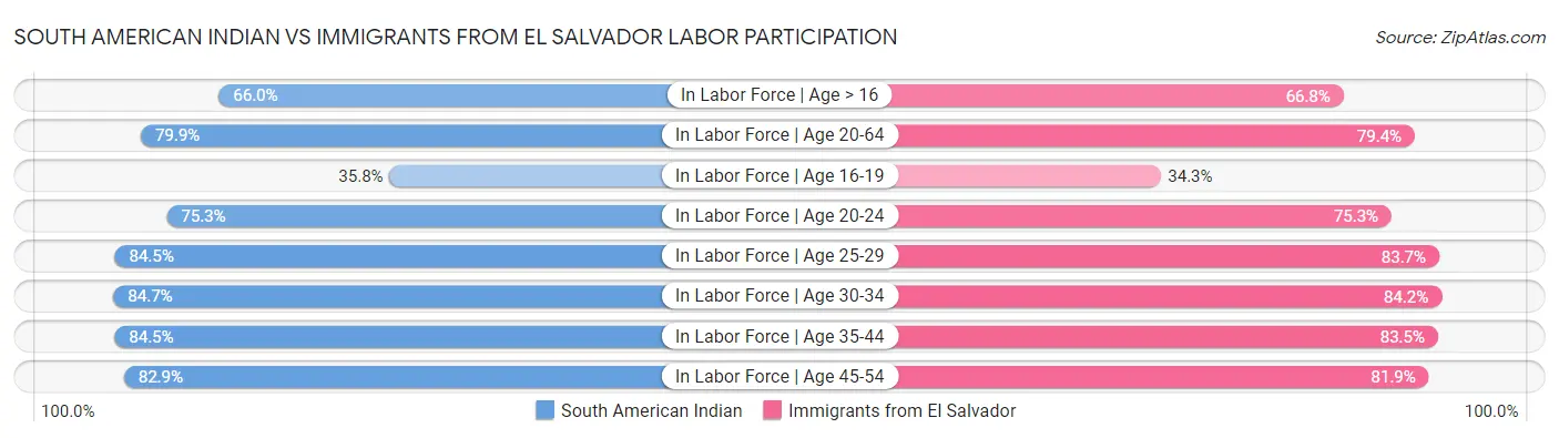 South American Indian vs Immigrants from El Salvador Labor Participation