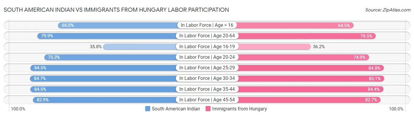 South American Indian vs Immigrants from Hungary Labor Participation