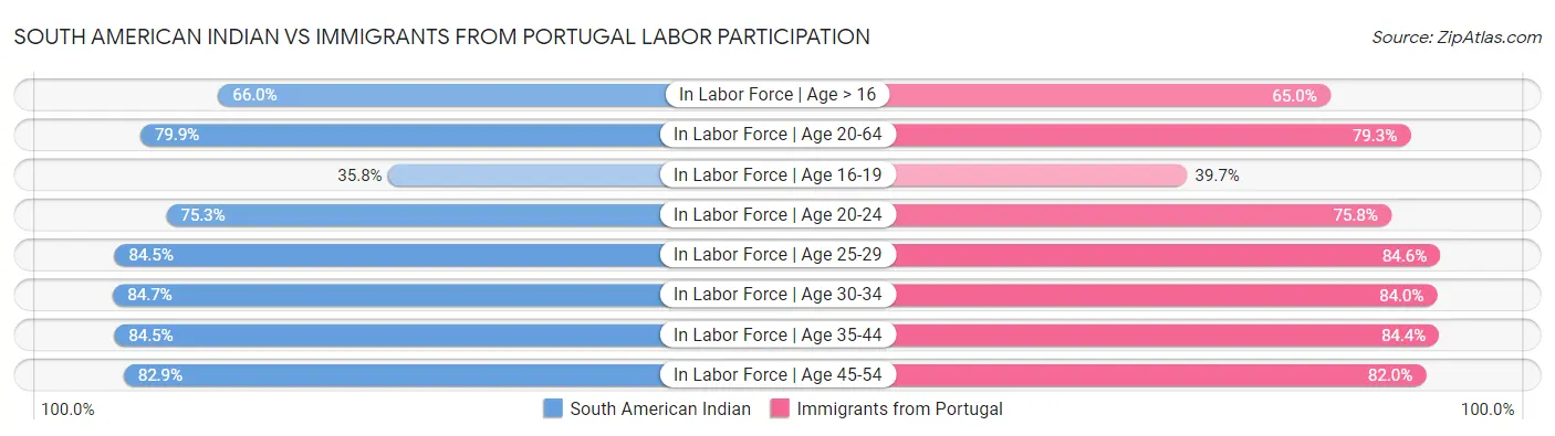 South American Indian vs Immigrants from Portugal Labor Participation