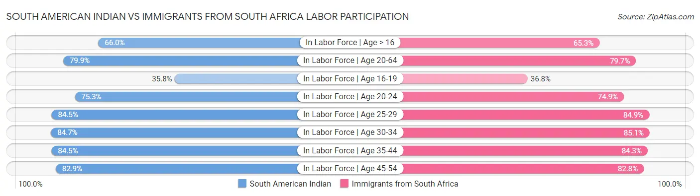 South American Indian vs Immigrants from South Africa Labor Participation