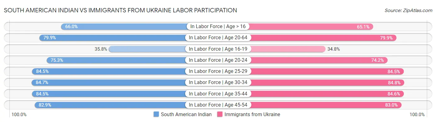 South American Indian vs Immigrants from Ukraine Labor Participation