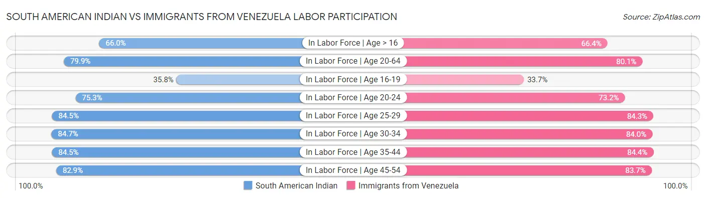 South American Indian vs Immigrants from Venezuela Labor Participation