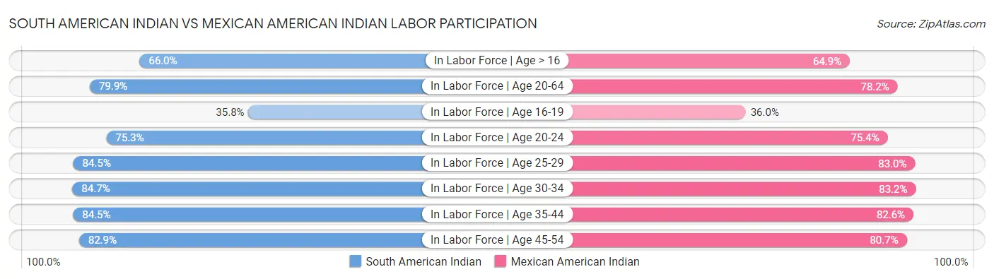 South American Indian vs Mexican American Indian Labor Participation