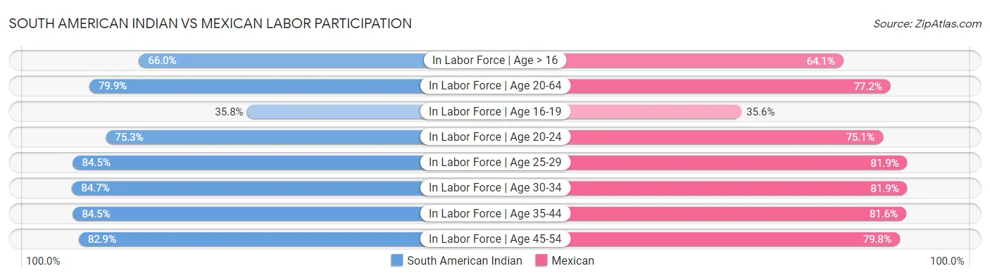 South American Indian vs Mexican Labor Participation