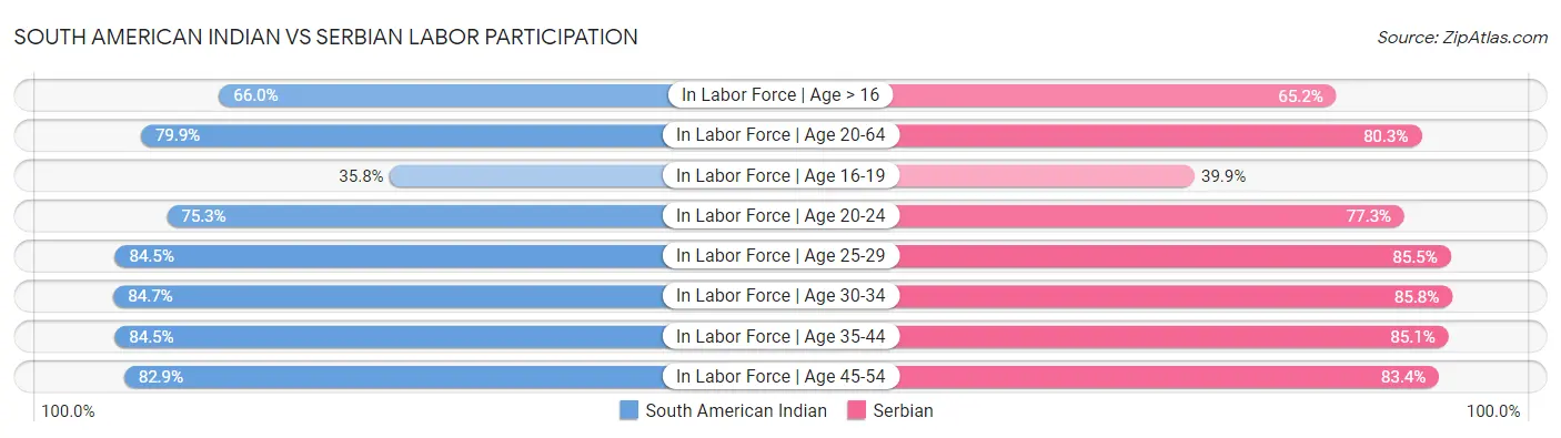 South American Indian vs Serbian Labor Participation