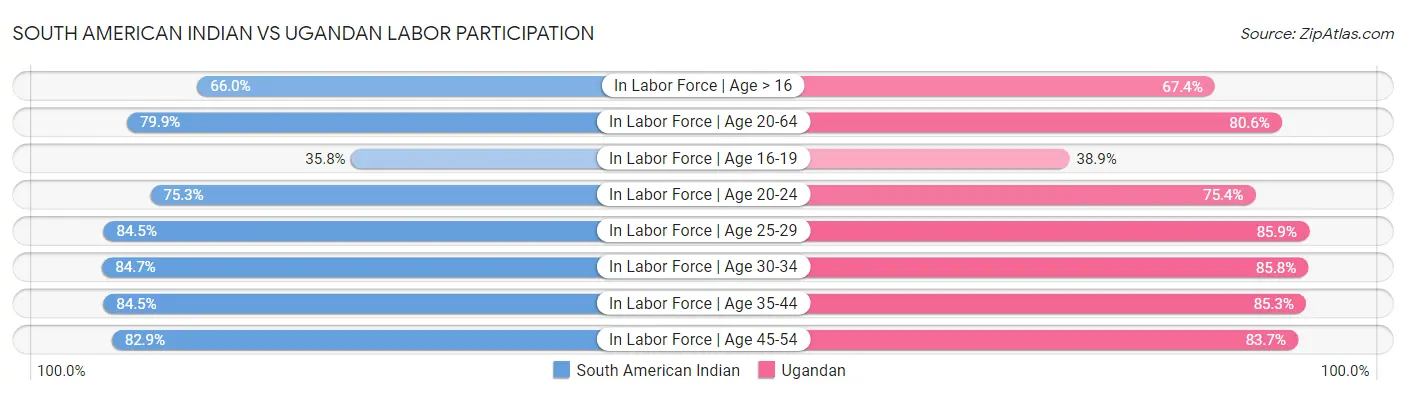 South American Indian vs Ugandan Labor Participation