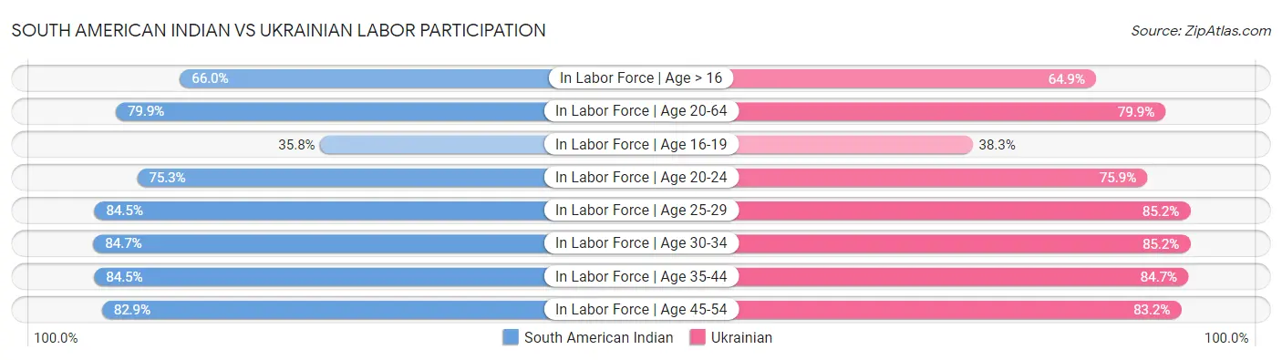 South American Indian vs Ukrainian Labor Participation