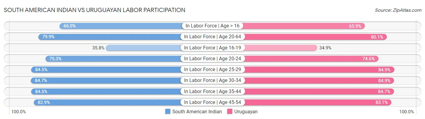 South American Indian vs Uruguayan Labor Participation