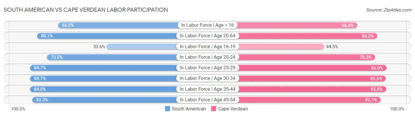 South American vs Cape Verdean Labor Participation