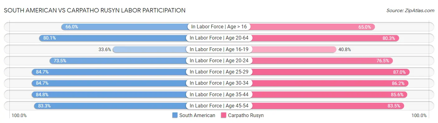 South American vs Carpatho Rusyn Labor Participation
