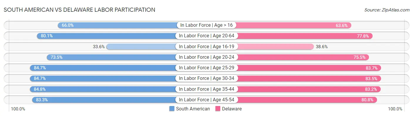 South American vs Delaware Labor Participation