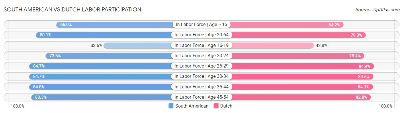 South American vs Dutch Labor Participation