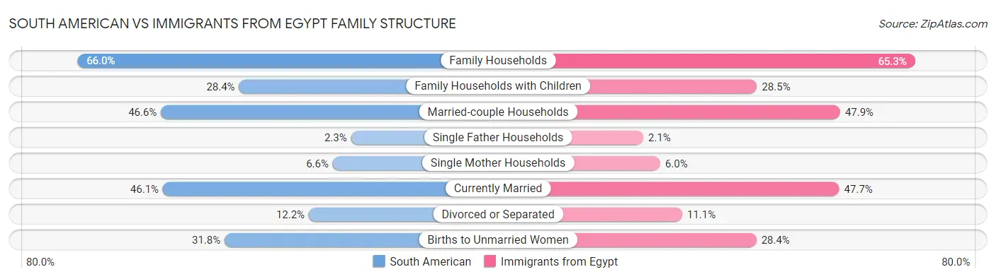 South American vs Immigrants from Egypt Family Structure