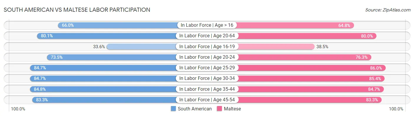 South American vs Maltese Labor Participation