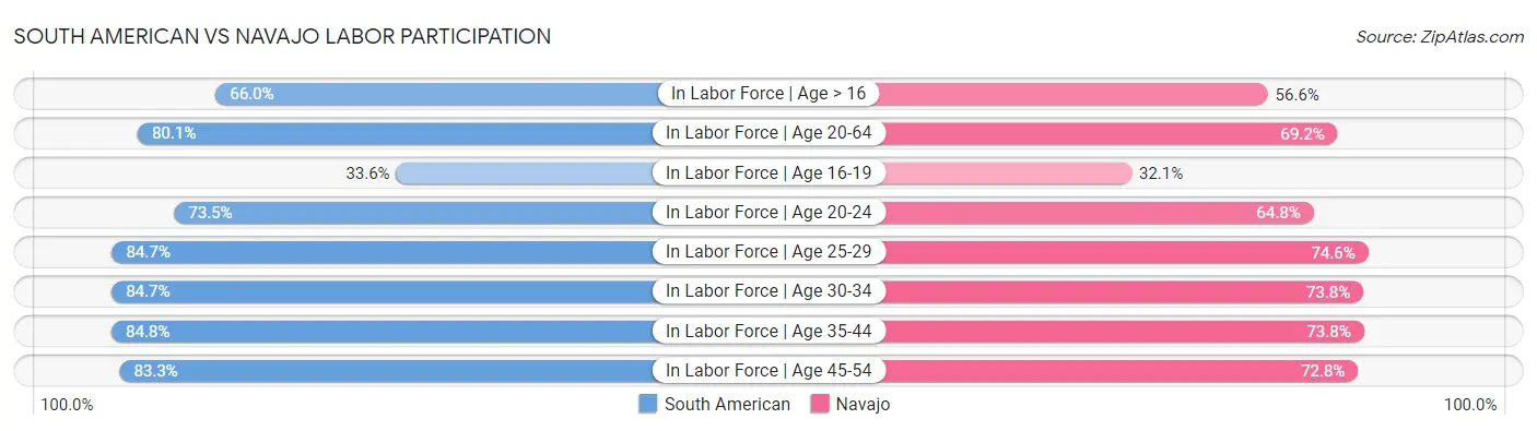 South American vs Navajo Labor Participation
